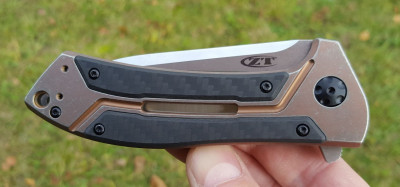 ZT 0801 CF 4.jpg